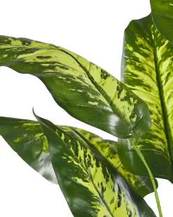 Pianta artificiale DIEFFENBACHIA 122 cm Verde