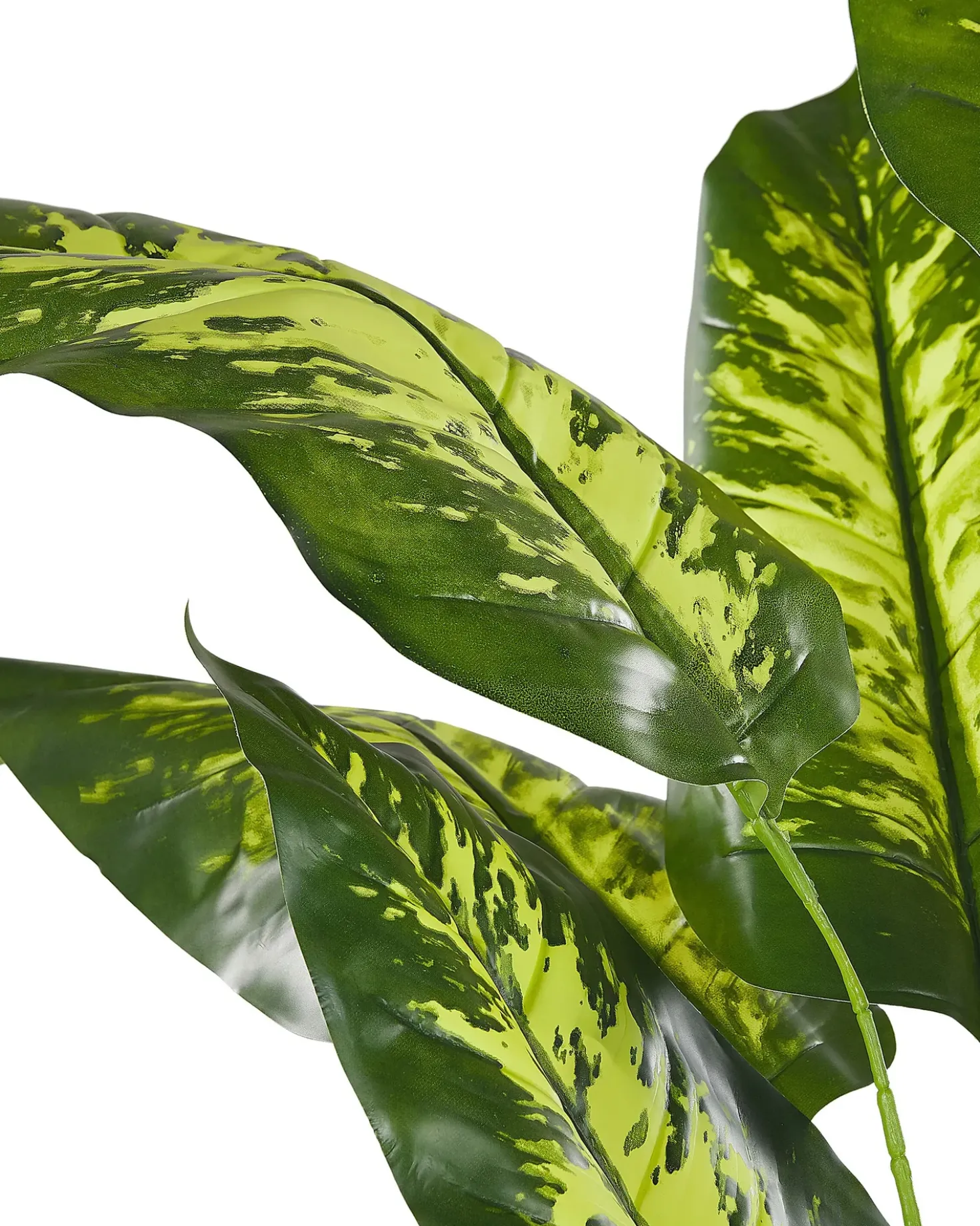 Pianta artificiale DIEFFENBACHIA 122 cm Verde