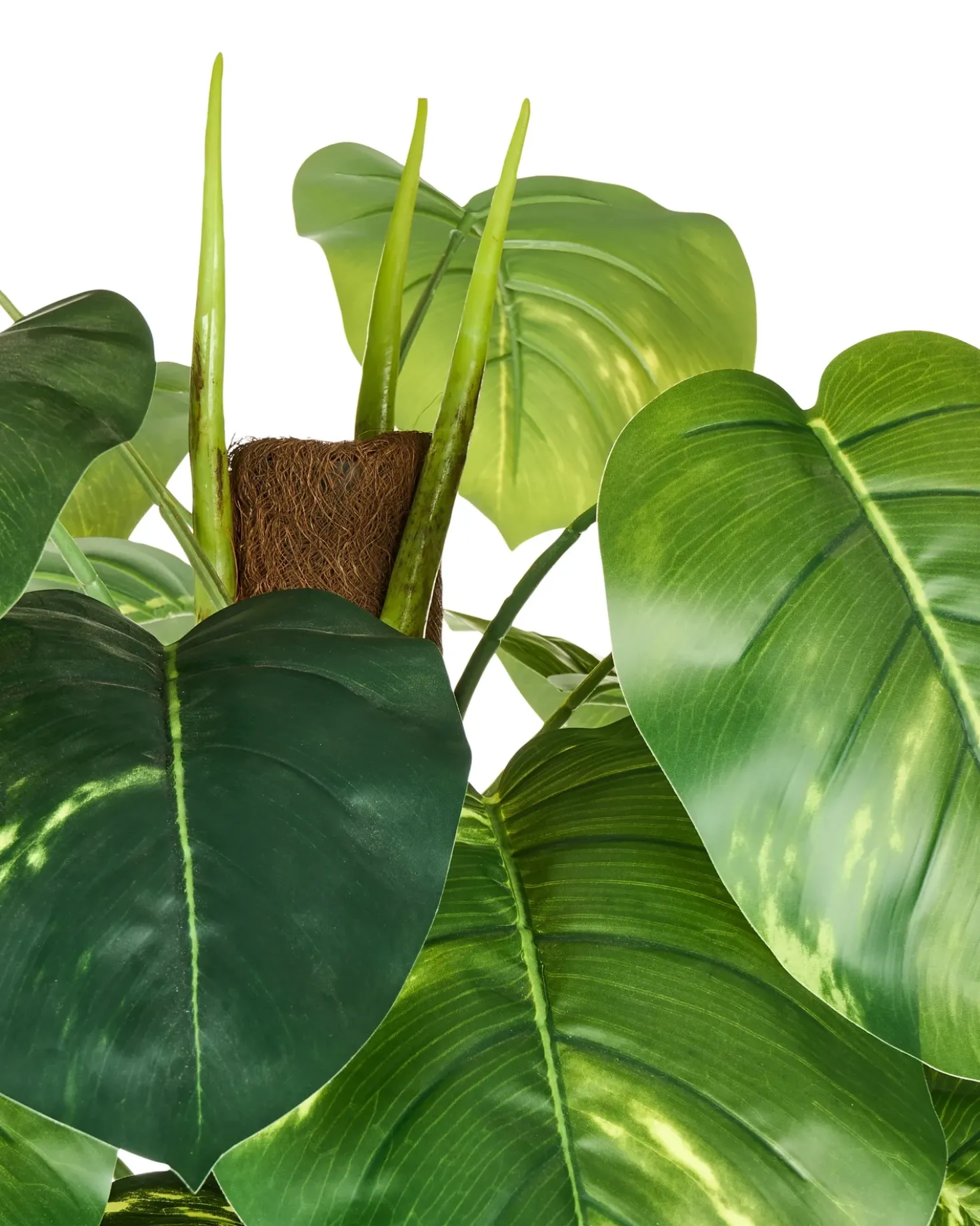 Pianta artificiale DIEFFENBACHIA 152 cm Verde