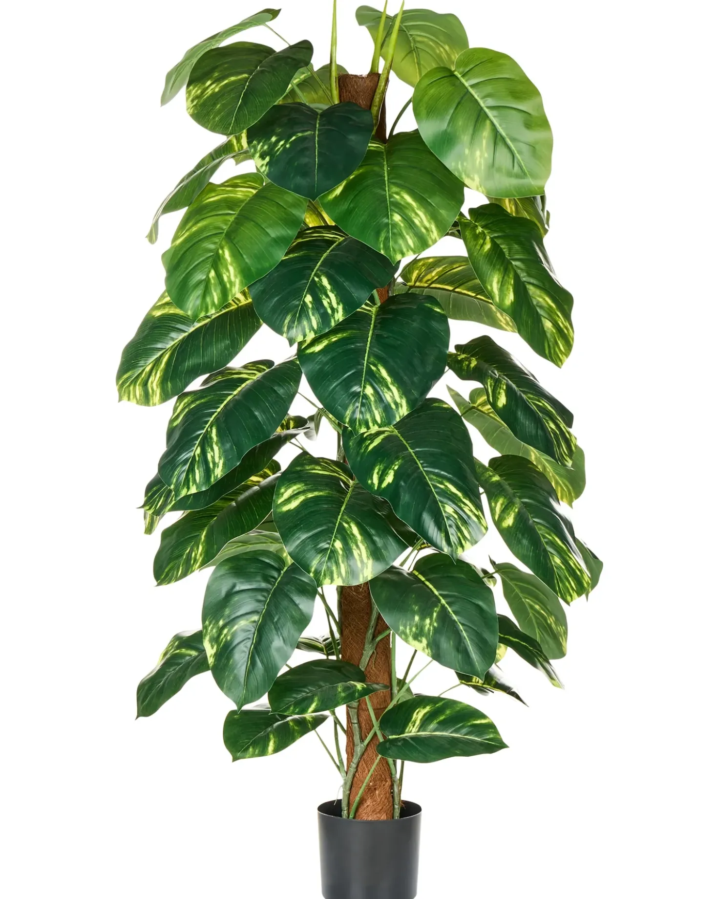Pianta artificiale DIEFFENBACHIA 152 cm Verde