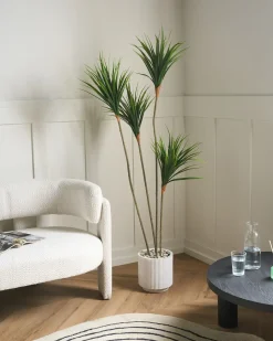 Pianta artificiale DRACAENA DRACO 165 cm Verde