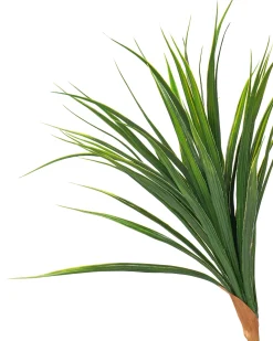 Pianta artificiale DRACAENA DRACO 165 cm Verde