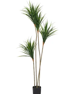 Pianta artificiale DRACAENA DRACO 165 cm Verde