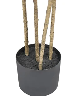 Pianta artificiale DRACAENA DRACO 165 cm Verde
