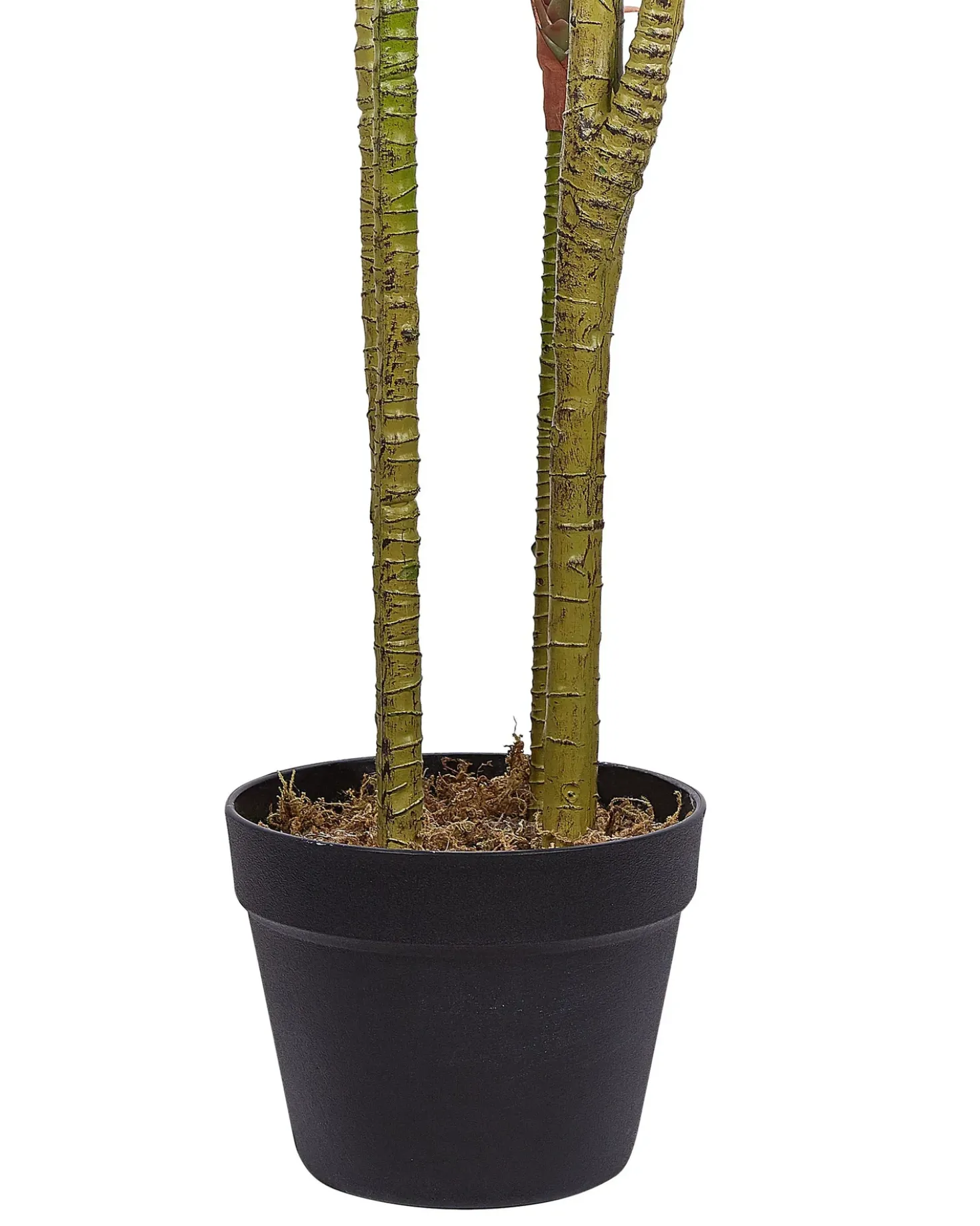 Pianta artificiale DRACAENA ANITA 147 cm Verde
