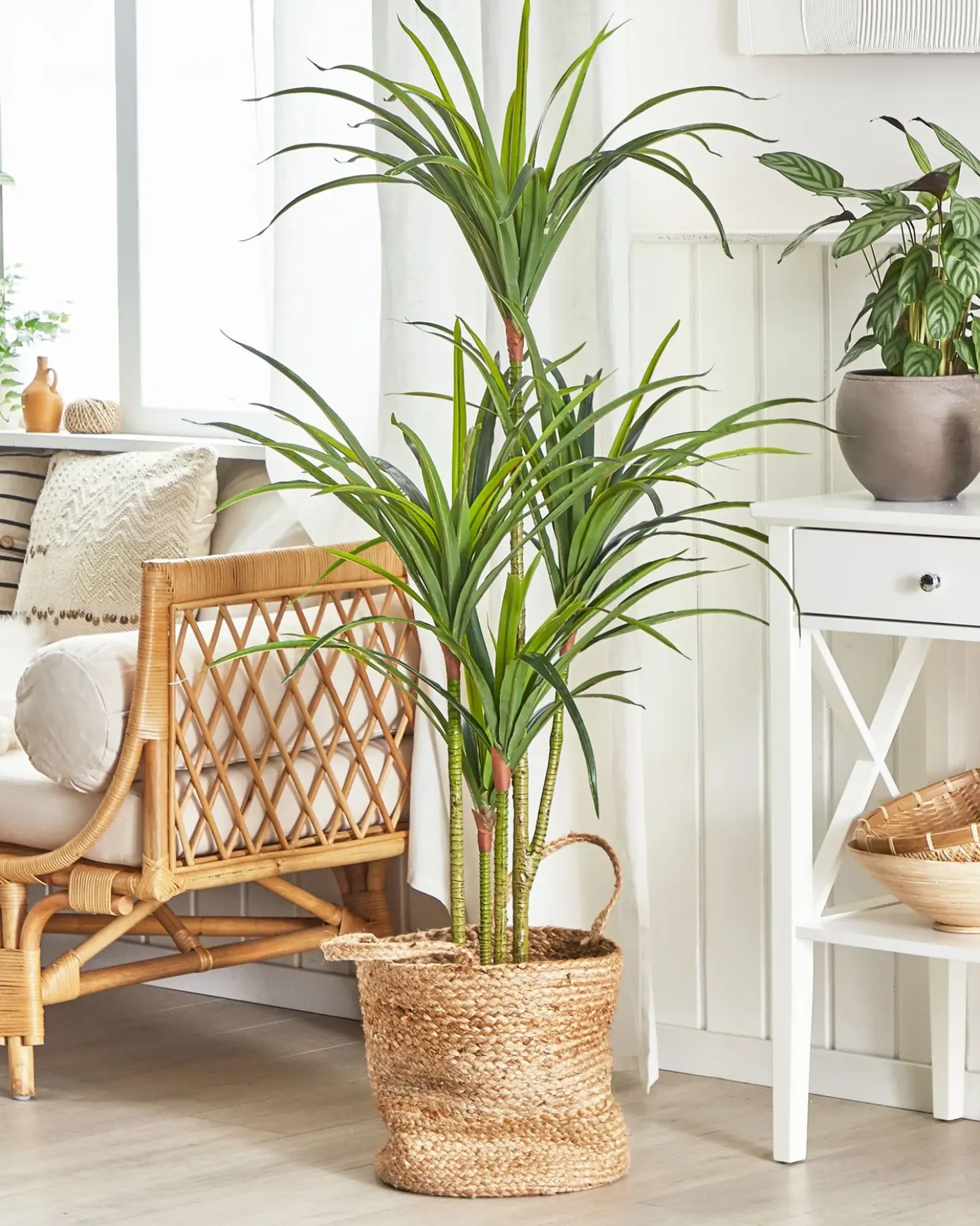 Pianta artificiale DRACAENA ANITA 147 cm Verde