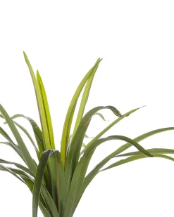 Pianta artificiale DRACAENA ANITA 147 cm Verde