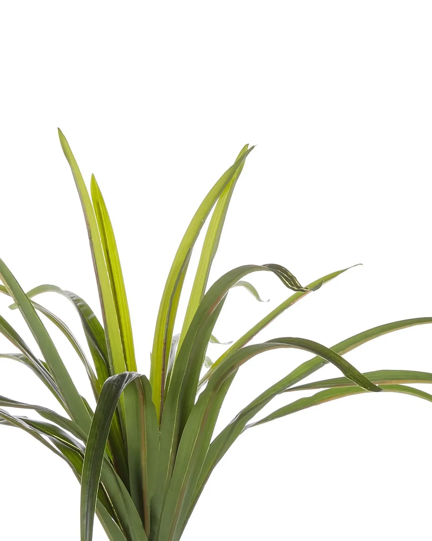 Pianta artificiale DRACAENA ANITA 147 cm Verde