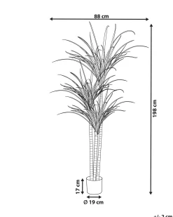 Pianta artificiale DRACAENA ANITA 198 cm Verde