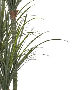 Pianta artificiale DRACAENA ANITA 198 cm Verde