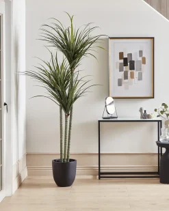 Pianta artificiale DRACAENA ANITA 198 cm Verde