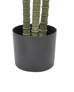 Pianta artificiale DRACAENA ANITA 198 cm Verde