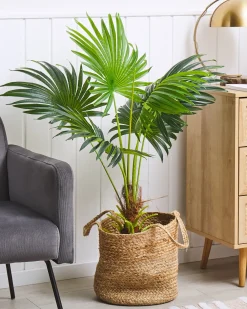 Pianta artificiale FAN PALM 100 cm Verde
