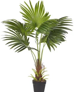 Pianta artificiale FAN PALM 100 cm Verde