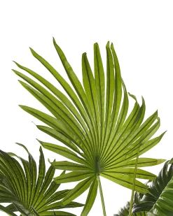 Pianta artificiale FAN PALM 100 cm Verde