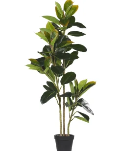 Pianta artificiale FICUS ELASTICA 134 cm Verde