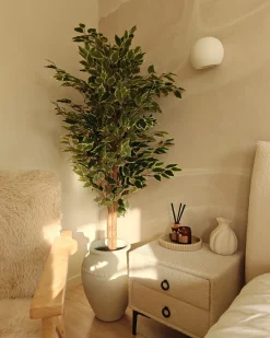 Pianta artificiale FICUS 167 cm Verde