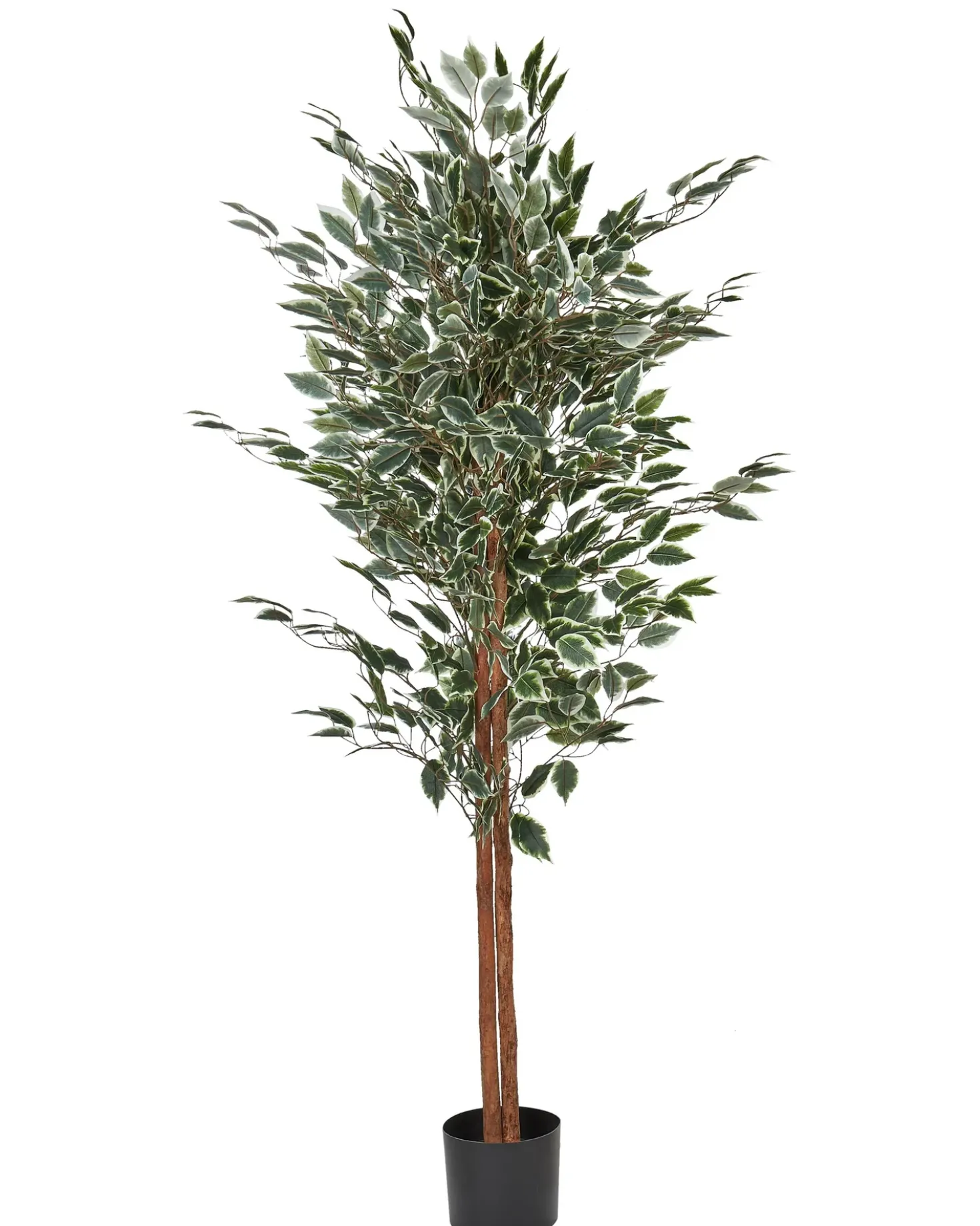 Pianta artificiale FICUS 167 cm Verde