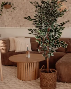 Pianta artificiale FICUS 167 cm Verde