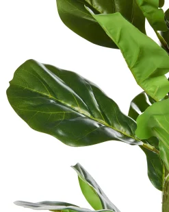 Pianta artificiale FIDDLE LEAF TREE 72 cm Verde