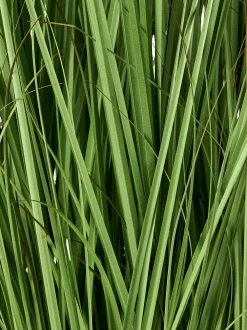 Pianta artificiale GRASS 120 cm Verde