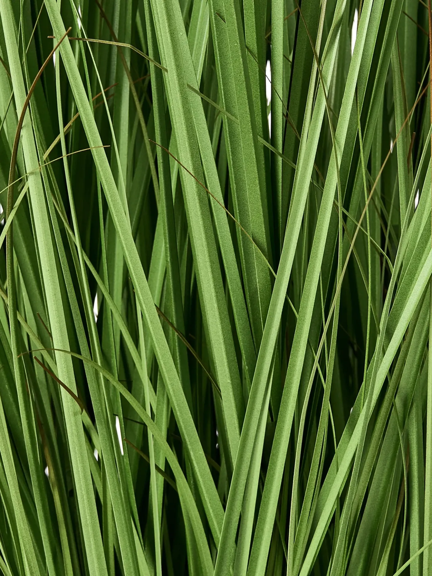 Pianta artificiale GRASS 120 cm Verde