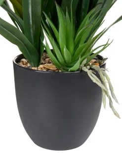 Pianta artificiale GUZMANIA ATILLA 50 cm Verde