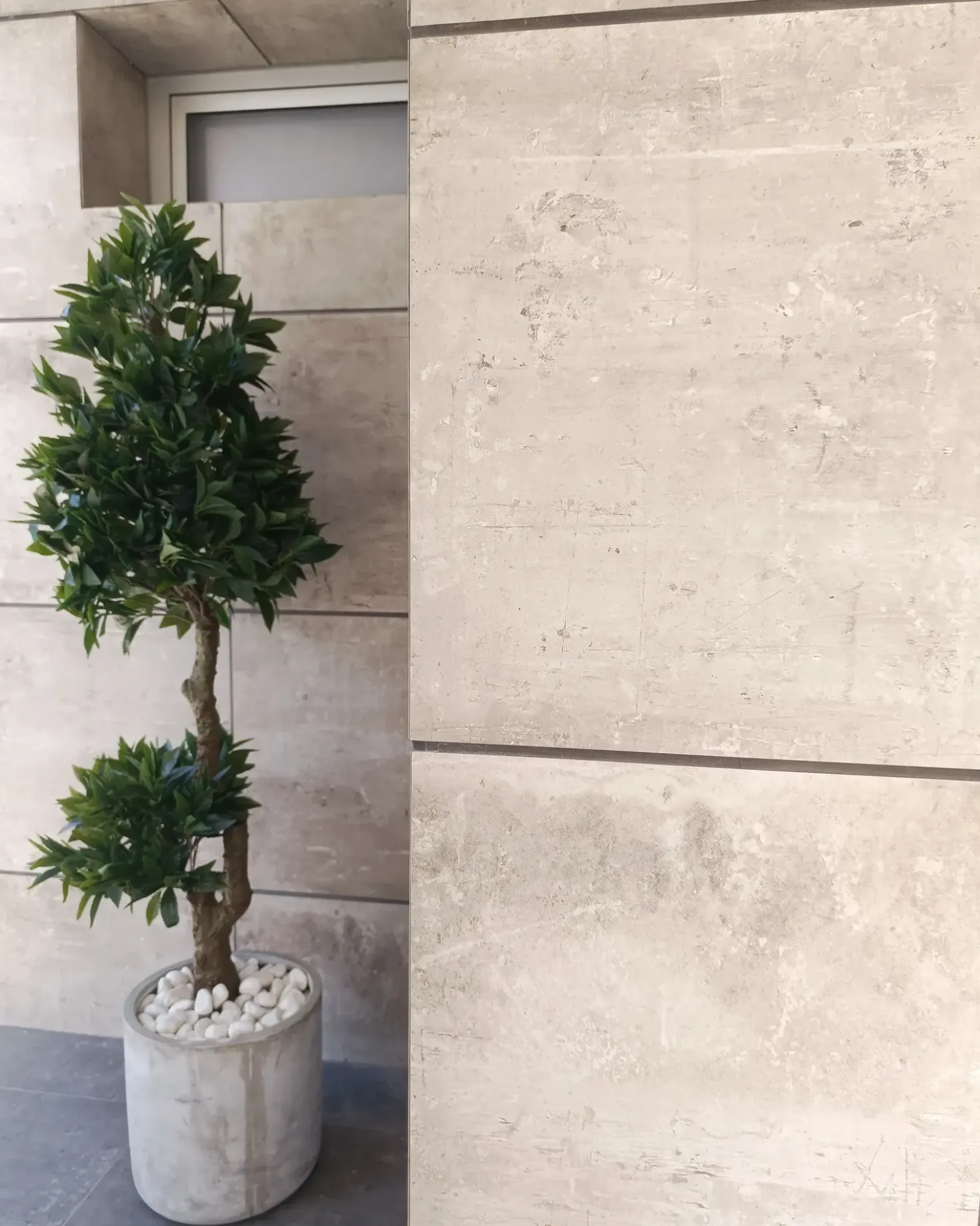 Pianta artificiale LAURELE 160 cm Verde