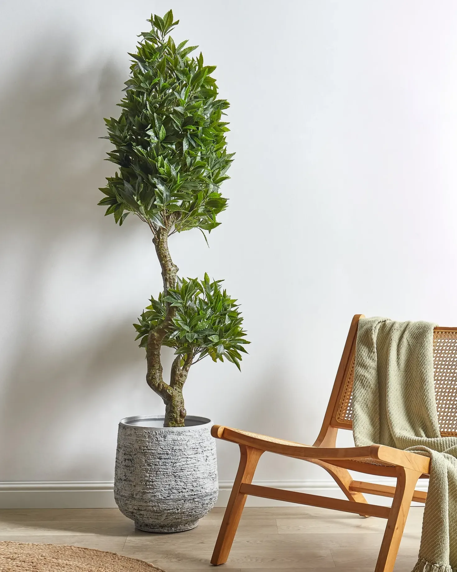 Pianta artificiale LAURELE 160 cm Verde