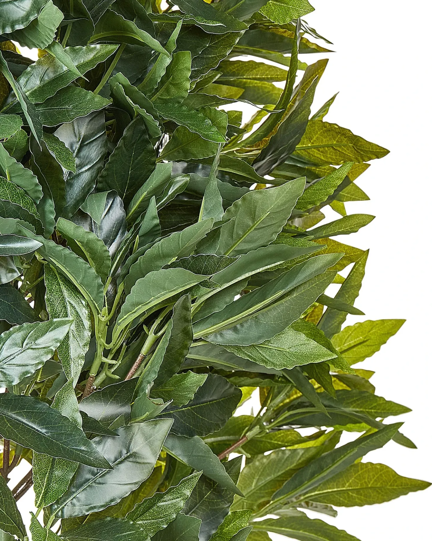 Pianta artificiale LAURELE 160 cm Verde