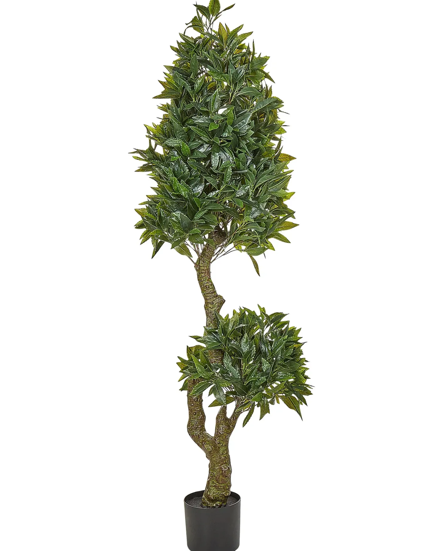 Pianta artificiale LAURELE 160 cm Verde