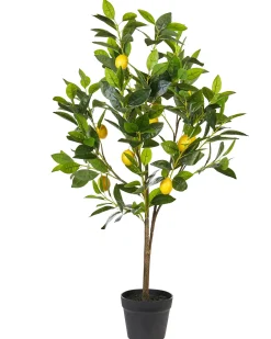 Pianta artificiale LEMON TREE 105 cm Verde