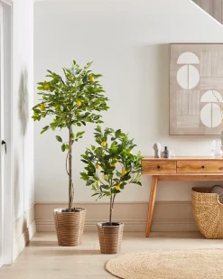 Pianta artificiale LEMON TREE 156 cm Verde