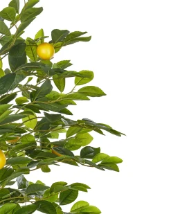 Pianta artificiale LEMON TREE 156 cm Verde