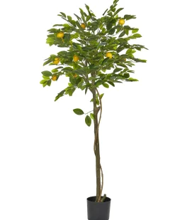 Pianta artificiale LEMON TREE 156 cm Verde