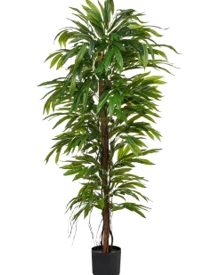 Pianta artificiale LONGIFOLIA 155 cm Verde