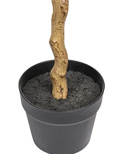Pianta artificiale MAGNOLIA TREE 128 cm Verde