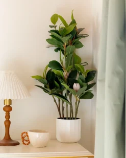 Pianta artificiale MAGNOLIA 70 cm Verde