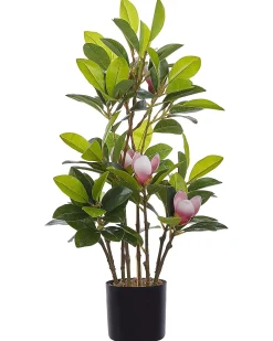 Pianta artificiale MAGNOLIA 70 cm Verde