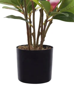 Pianta artificiale MAGNOLIA 70 cm Verde