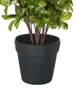 Pianta artificiale NOVELLA 36 cm Bianco