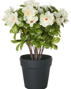 Pianta artificiale NOVELLA 36 cm Bianco