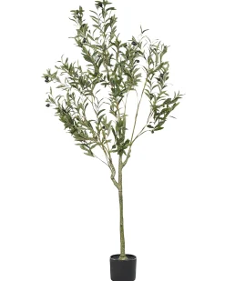 Pianta artificiale OLIVE TREE 153 cm Verde