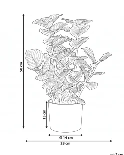 Pianta artificiale ORBIFOLIA 50 cm Verde