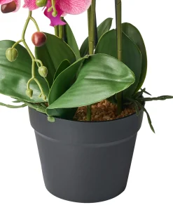 Pianta artificiale ORCHID 65 cm Rosa
