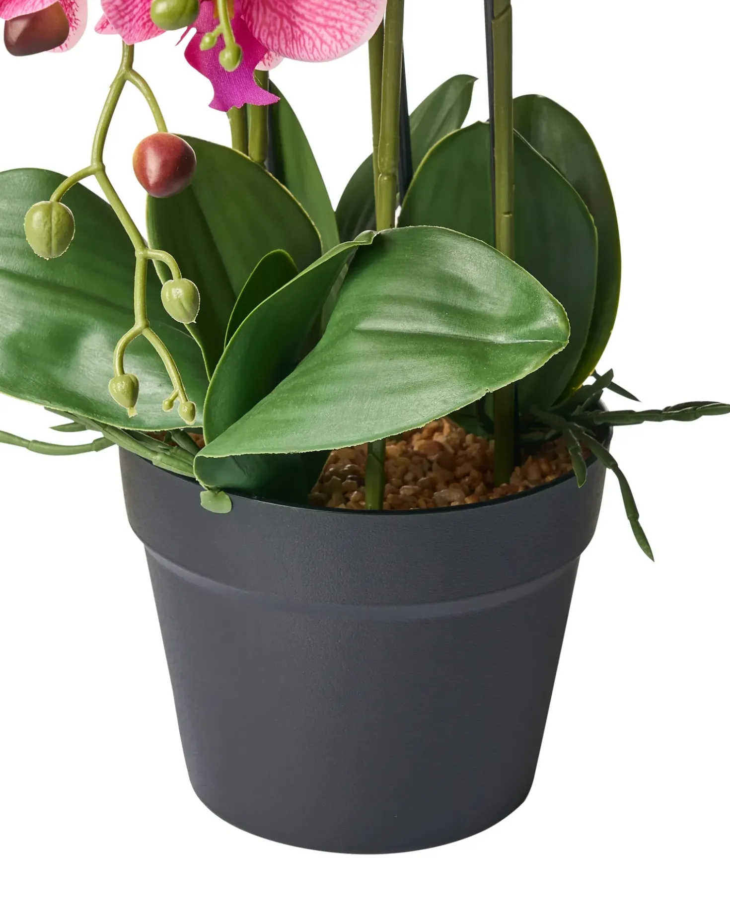 Pianta artificiale ORCHID 65 cm Rosa