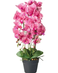Pianta artificiale ORCHID 65 cm Rosa