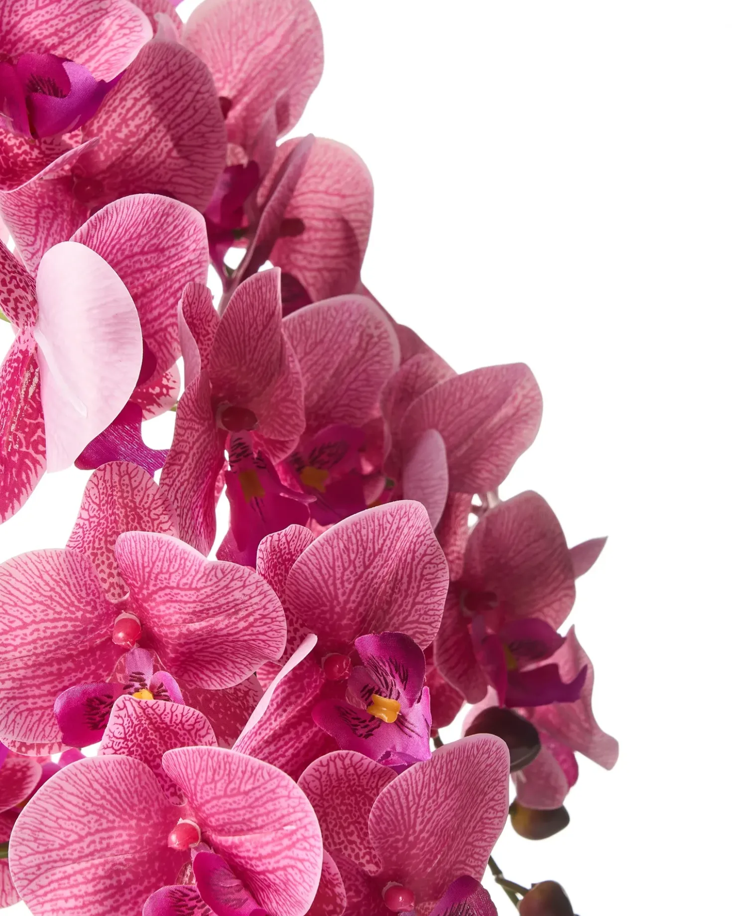Pianta artificiale ORCHID 65 cm Rosa
