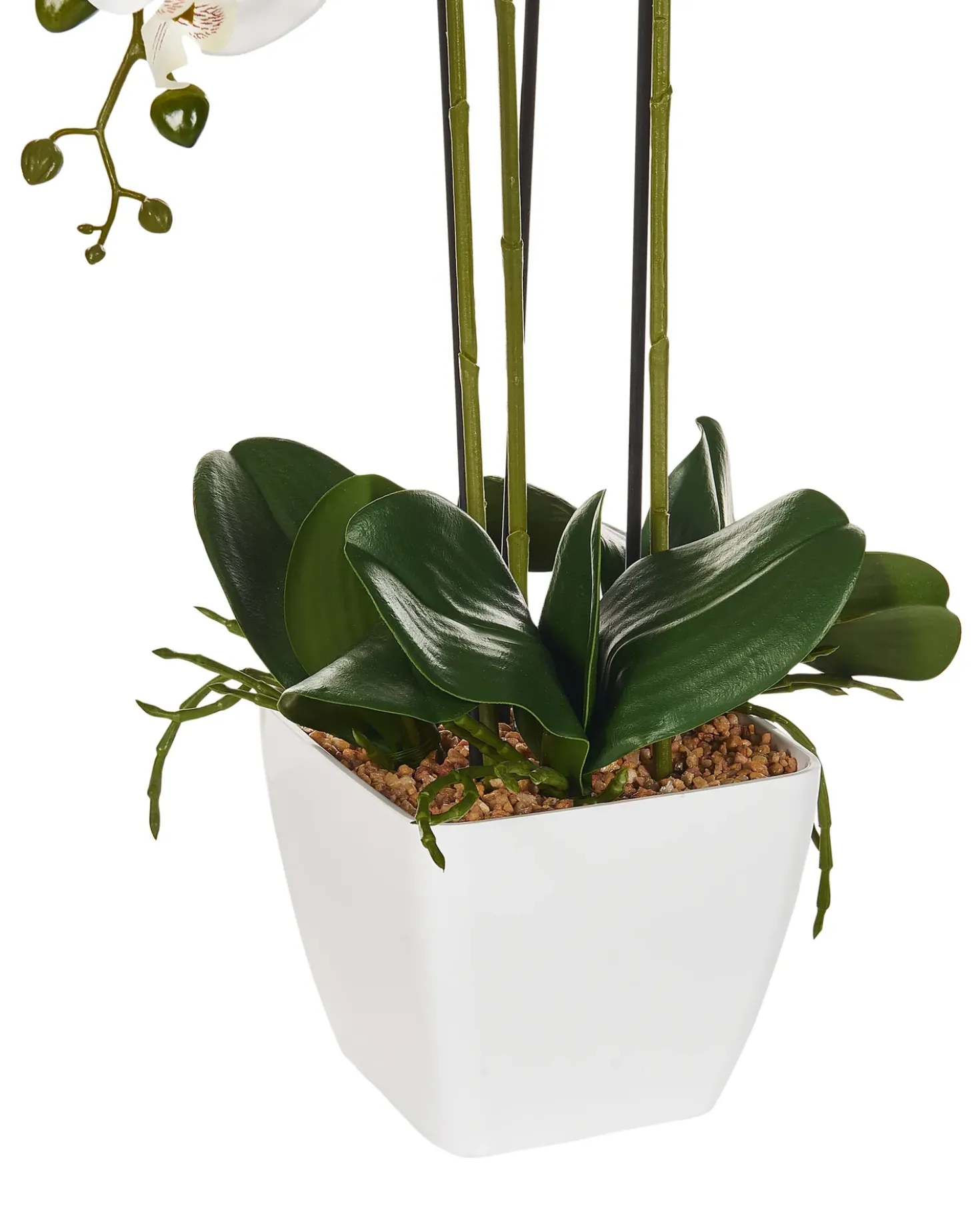 Pianta artificiale ORCHID 59 cm Bianco