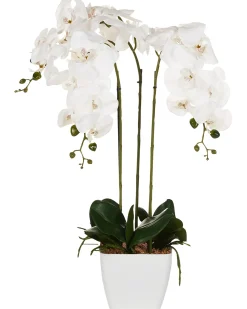 Pianta artificiale ORCHID 59 cm Bianco